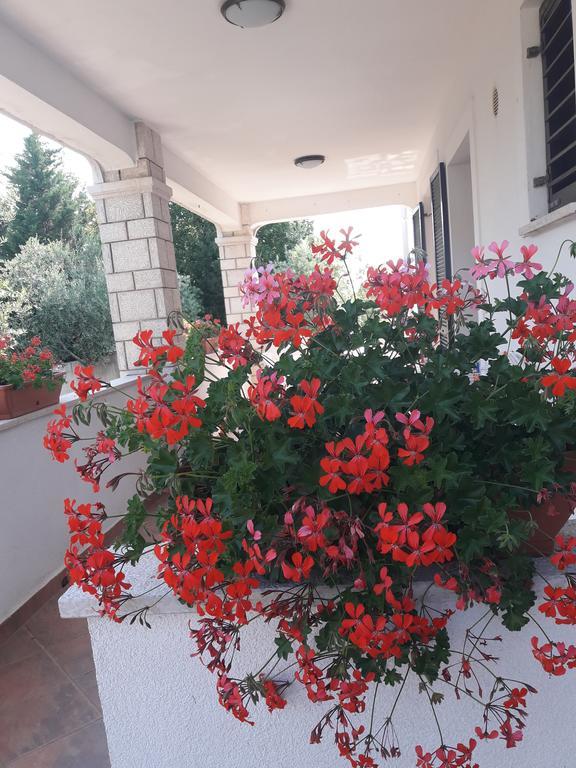 Apartments Angela Zbandaj Екстер'єр фото