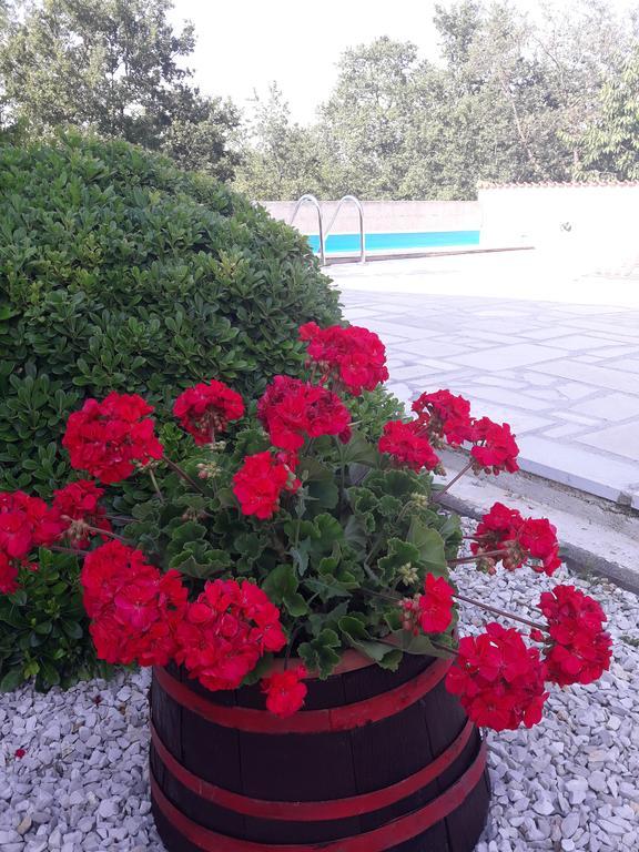 Apartments Angela Zbandaj Екстер'єр фото
